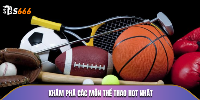 Khám phá các môn thể thao hot nhất năm