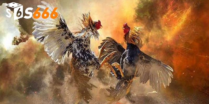 Quá trình chuẩn bị kỹ lưỡng