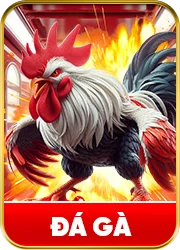Đá gà s666