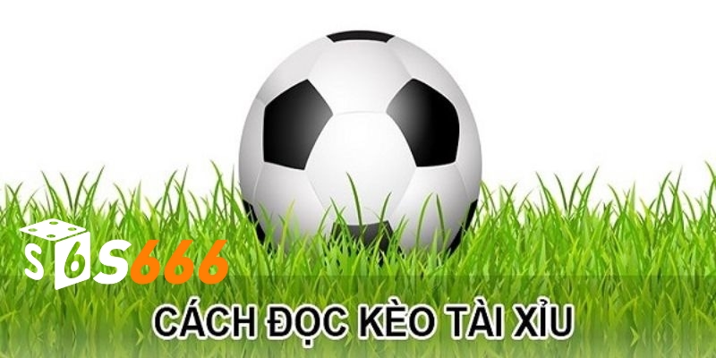 Kèo tài xỉu có khá nhiều hình thức để chọn lựa