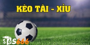 Kèo Tài Xỉu - Hình Thức Cá Cược Không Nên Bỏ Lỡ 2025