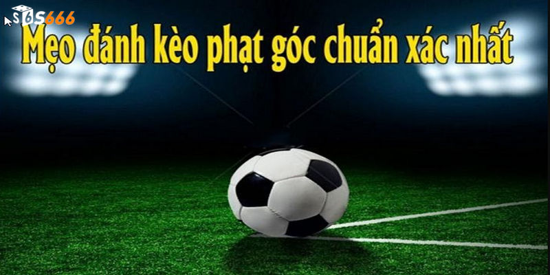 Lựa chọn trang nhà cái uy tín và chất lượng hàng đầu trên thị trường